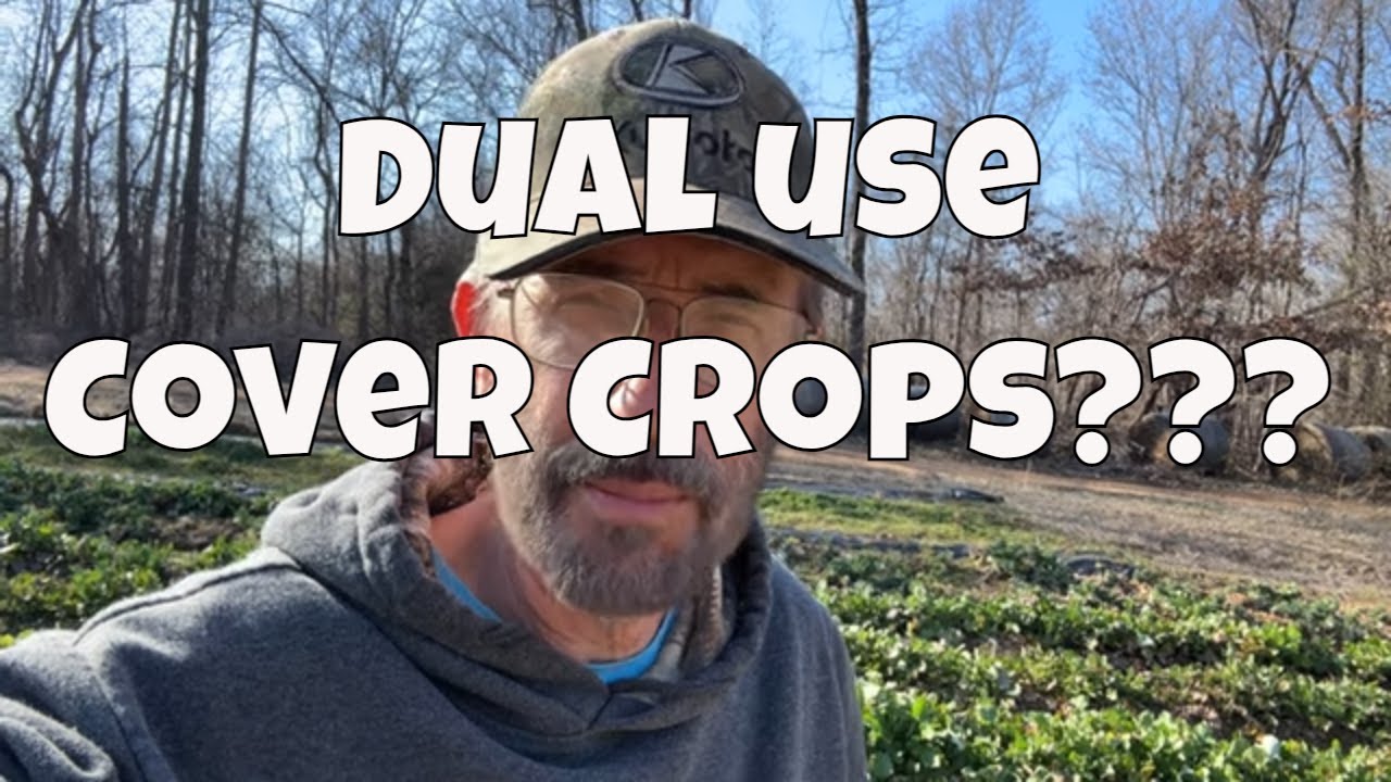 Dual Use Cover Crops: Discover the Power of Turnips 🌱🌿