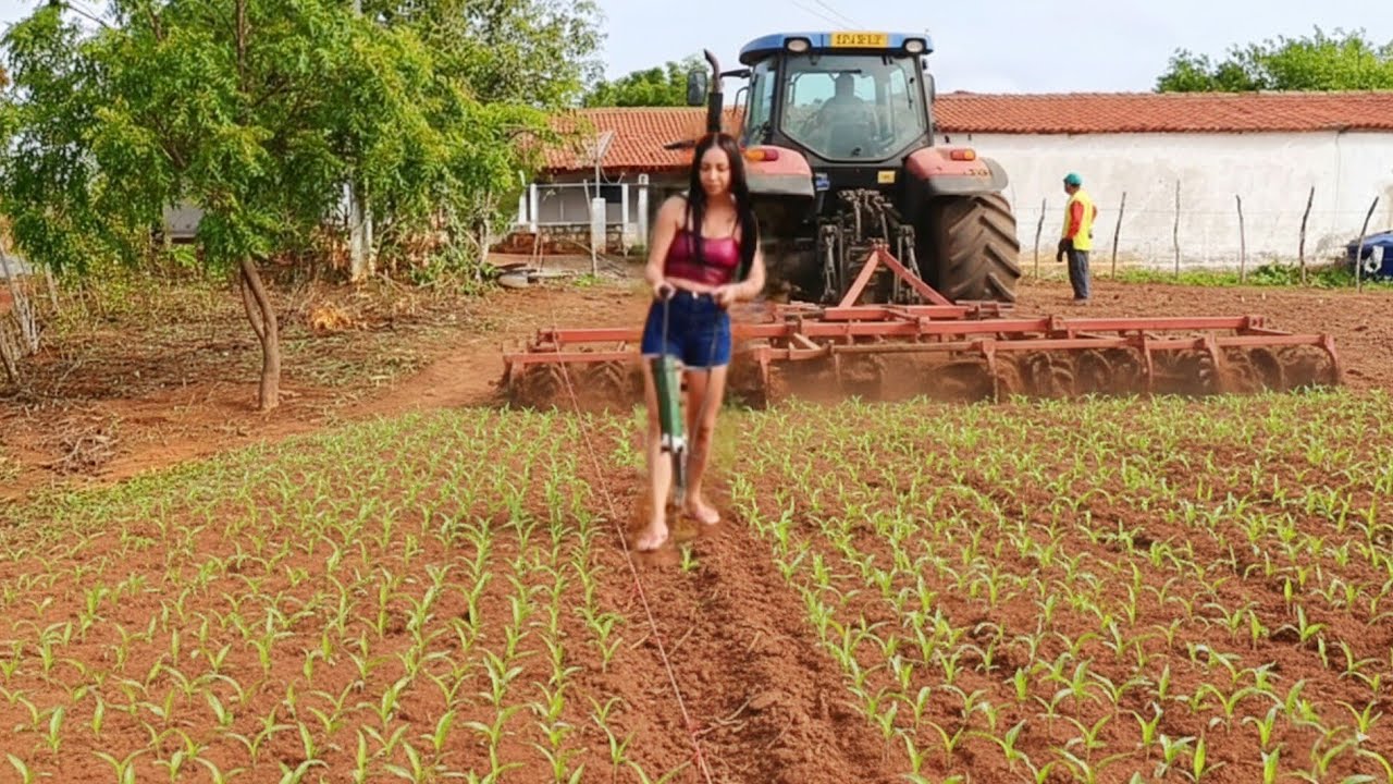 O INVERNO CHEGOU!, TODOS COMEÇAM A PLANTAR NO CEARÁ!😅😱🌿