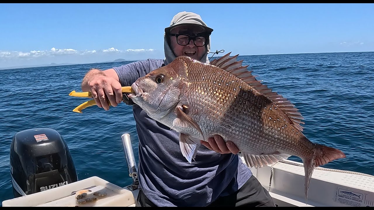 What's biting inshore Sunshine Coast. Is there one big snapper out there I can catch?