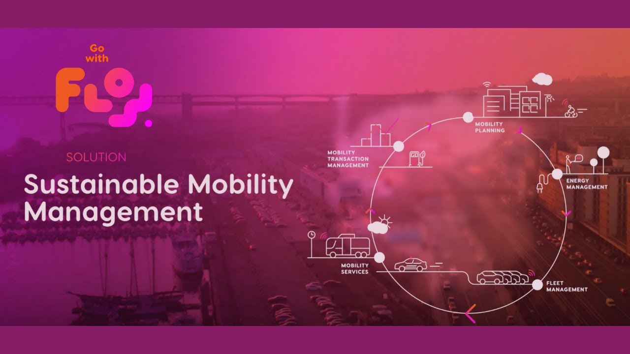 What is Sustainable Mobility Resource Management?