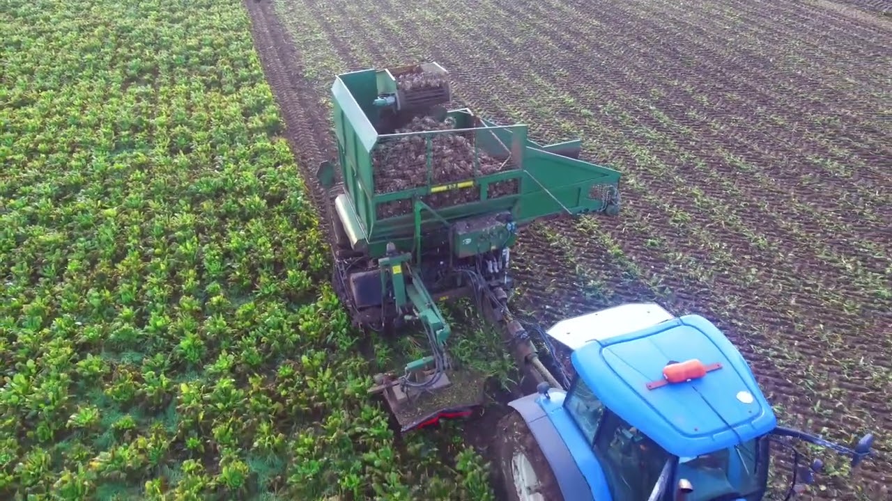 Keith Burke Agri  - Pulling Beet 2021