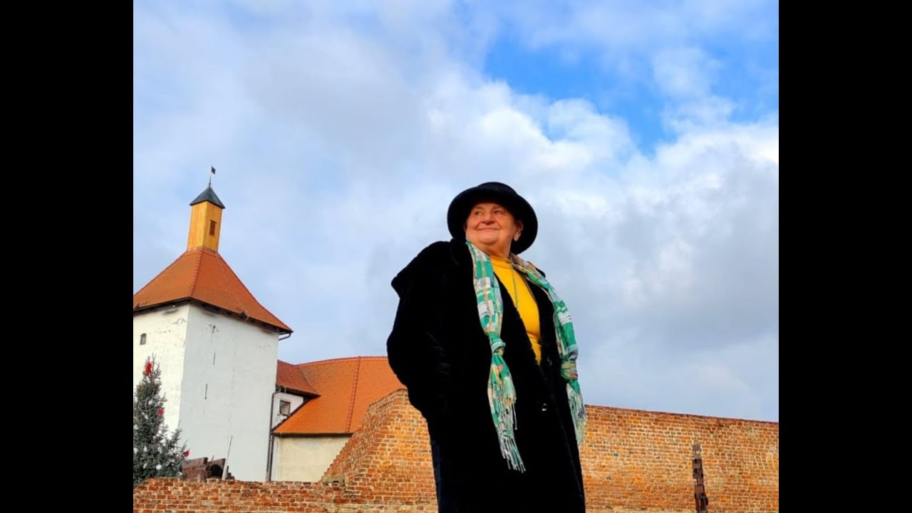 Pisci na mreži - Božica Jelušić