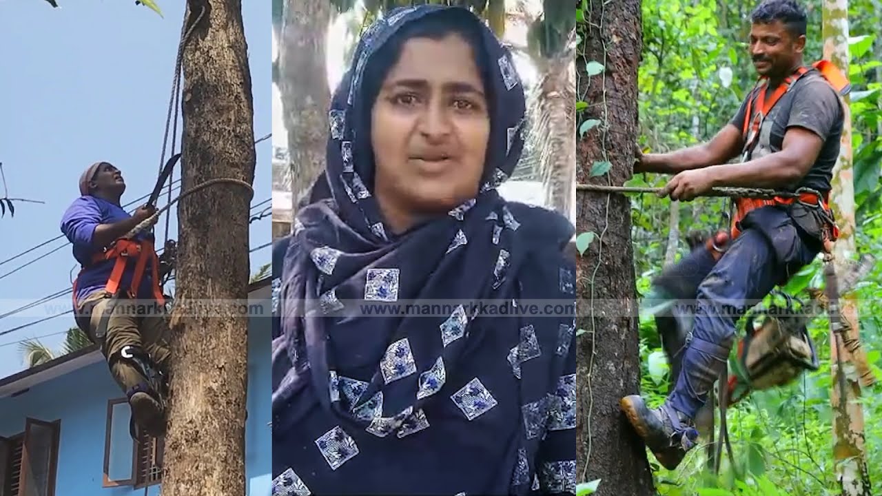 ഏത് ഉയരമുള്ള മരത്തിലും കയറും : ജീവിക്കാനായി ഷമീര്‍ കരിമ്പയുടെ വഴിയെ ഭാര്യ സുഹദ