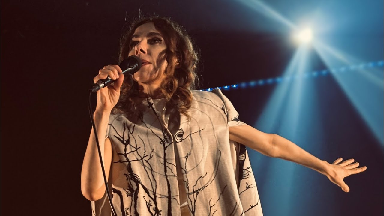 Down By The Water by PJ Harvey (Live in Toronto)