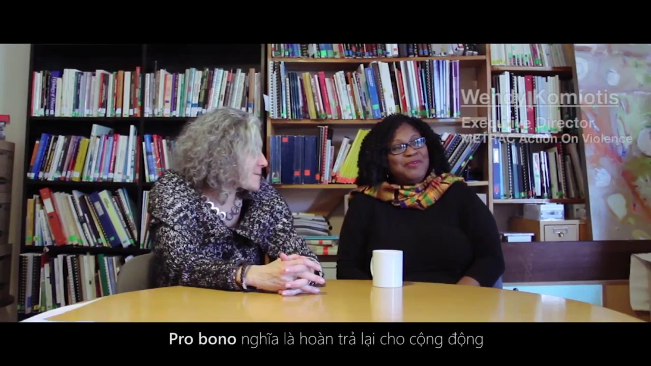 [VYPB2017] PRO BONO L&Agrave; G&Igrave;?