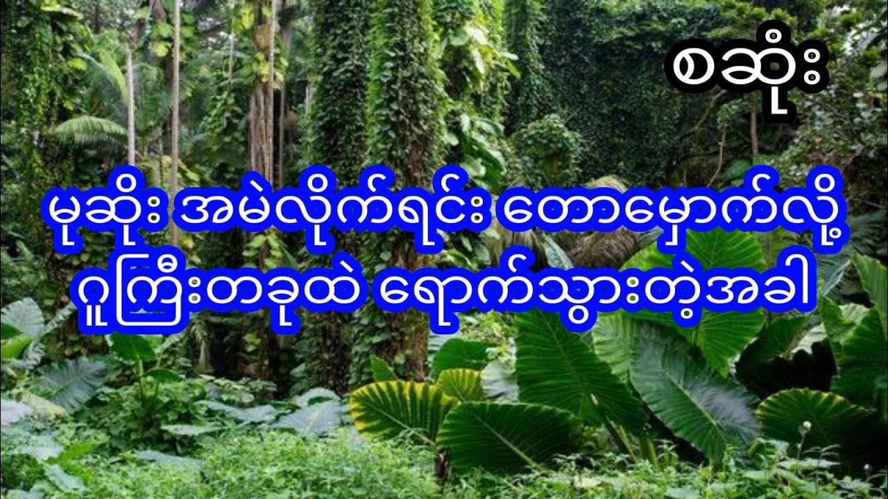 အမဲလိုက်တုန်း တောမှောက်လို့ ဂူကြီးတခုထဲ ရောက်သွားတဲ့မုဆိုး တဦး အဖြစ်အပျက် - စဆုံး