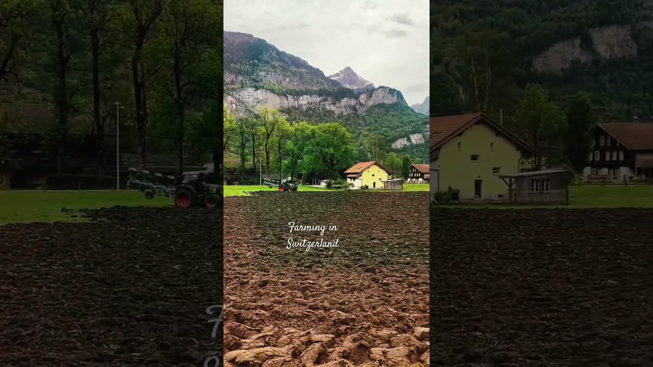 Farming in Switzerland 🇨🇭#countryside #farming #schweiz #nature