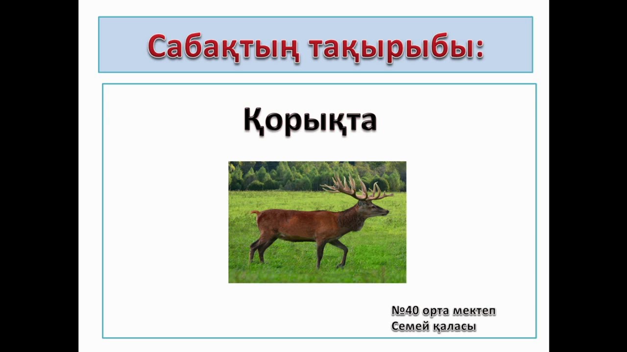 Казахский язык. 4 класс. 