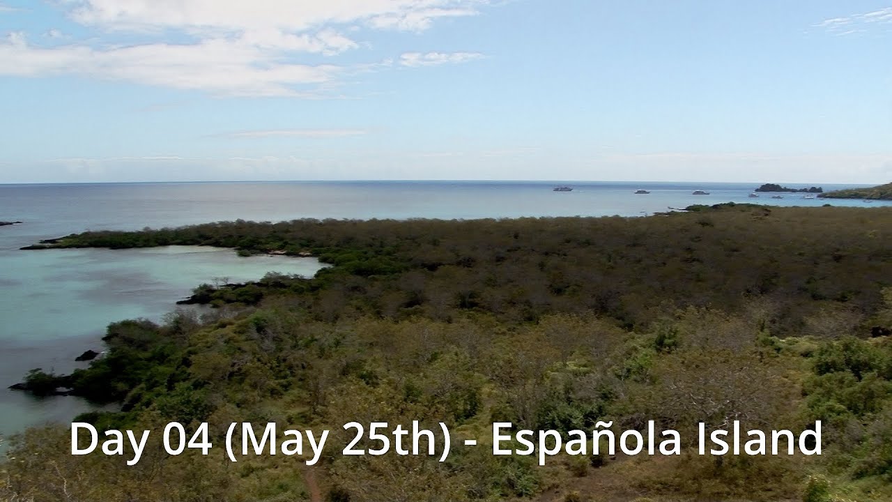 Day 4 (May 25th) - Española Island