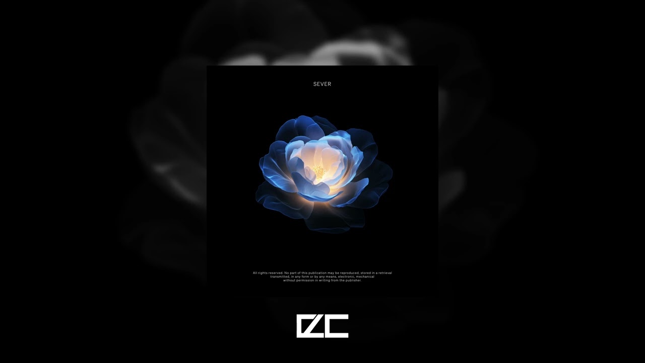 SEVER  -  Vision