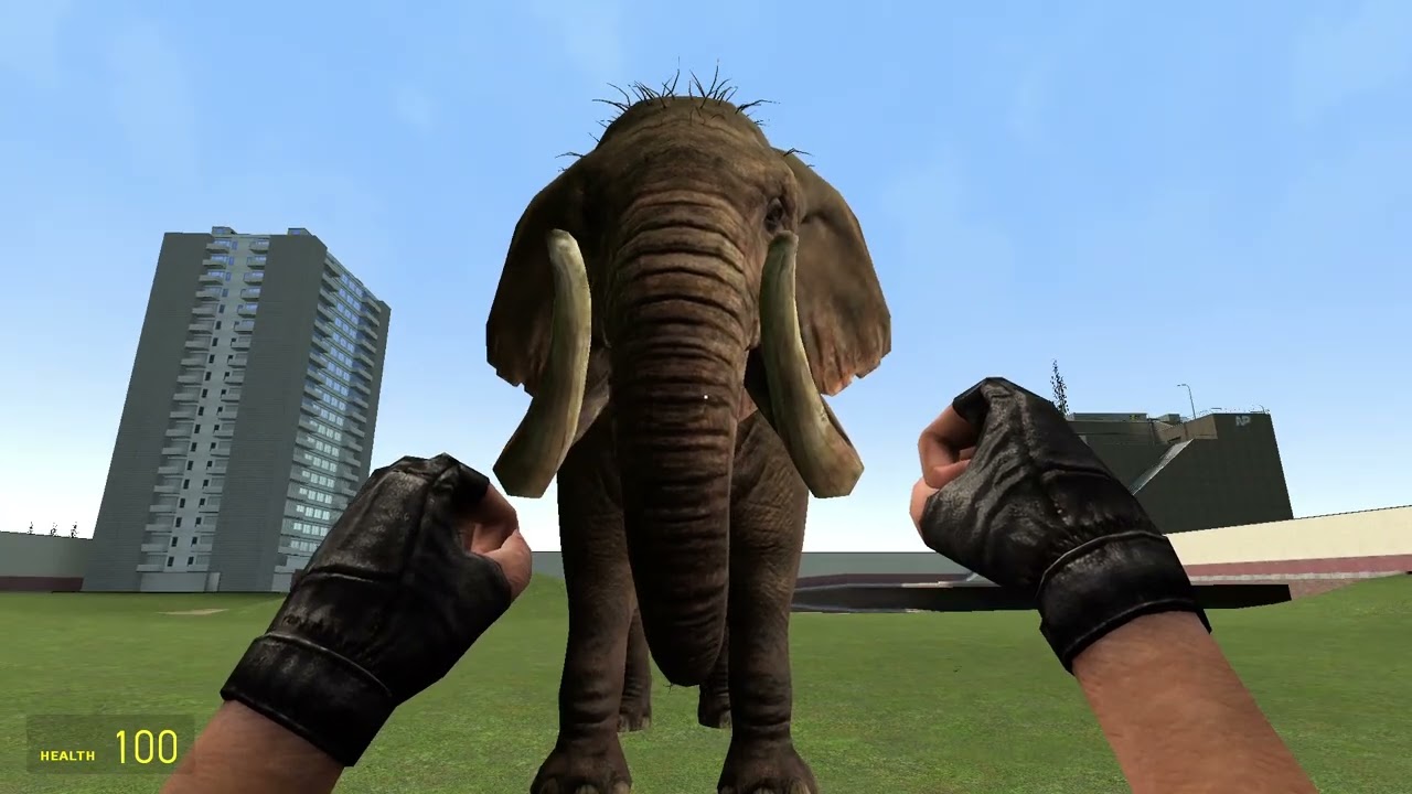 Garry's Mod shenanigans