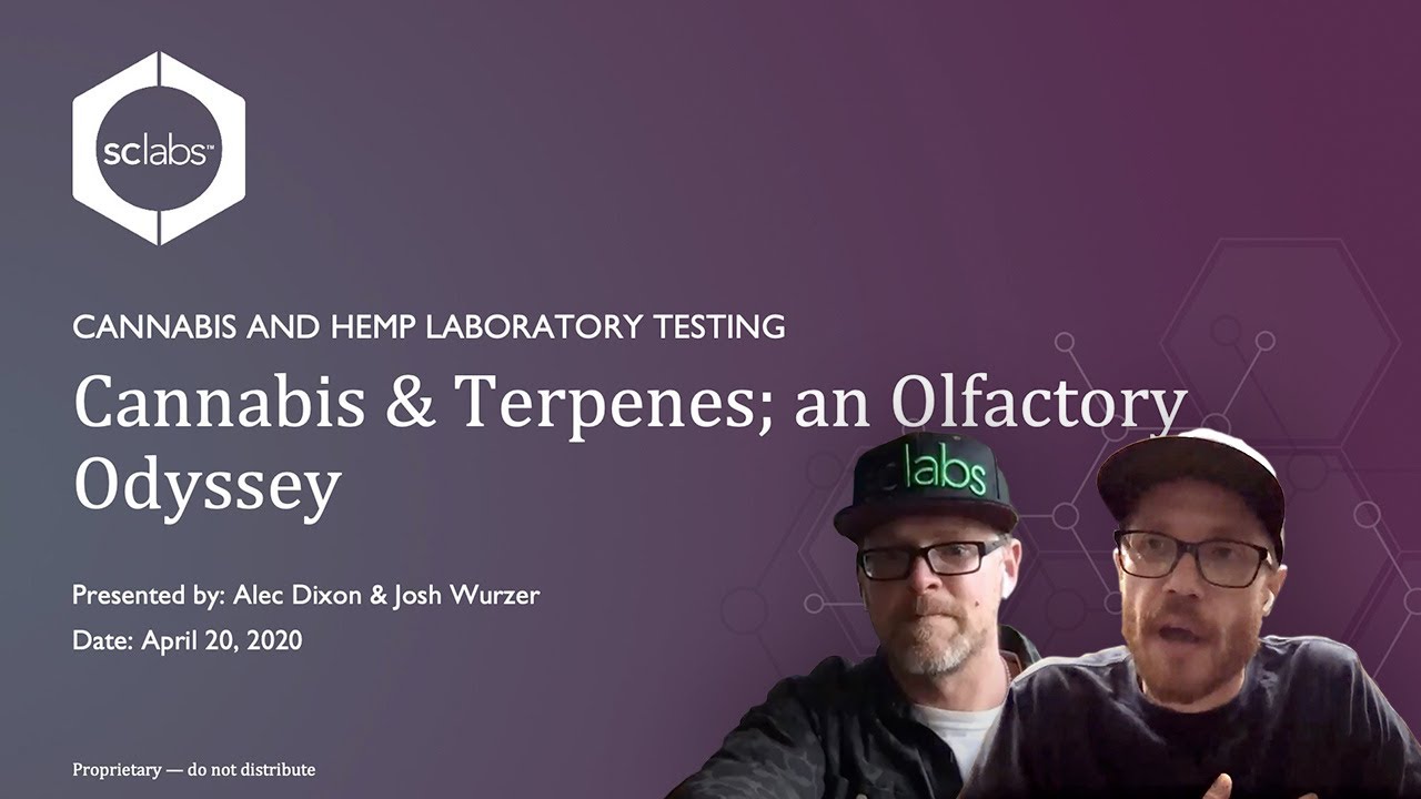 Cannabis & Terpenes: An Olfactory Odyssey