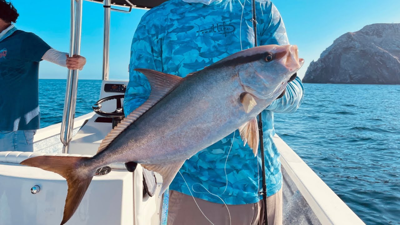 Pesca de Medregales y Dorados en el Farallón