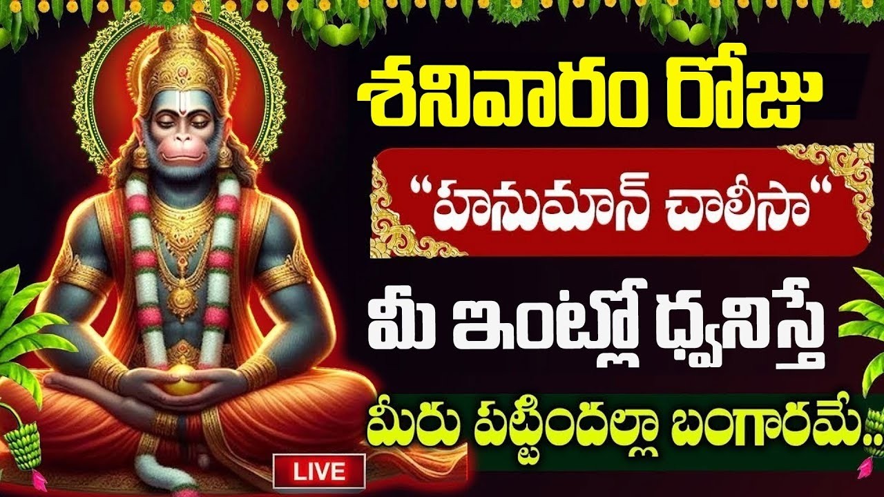 LIVE🔴 