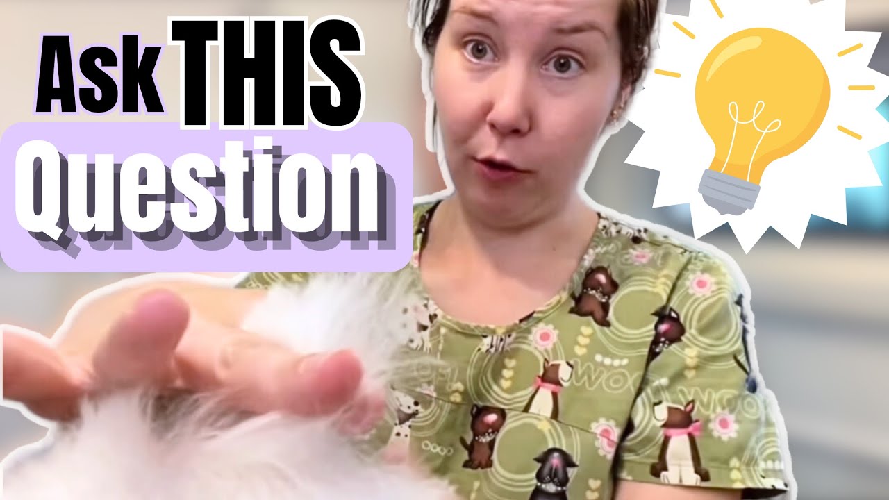 The ONE Question to Ask Your Pet Grooming Clients! Pet Care Business