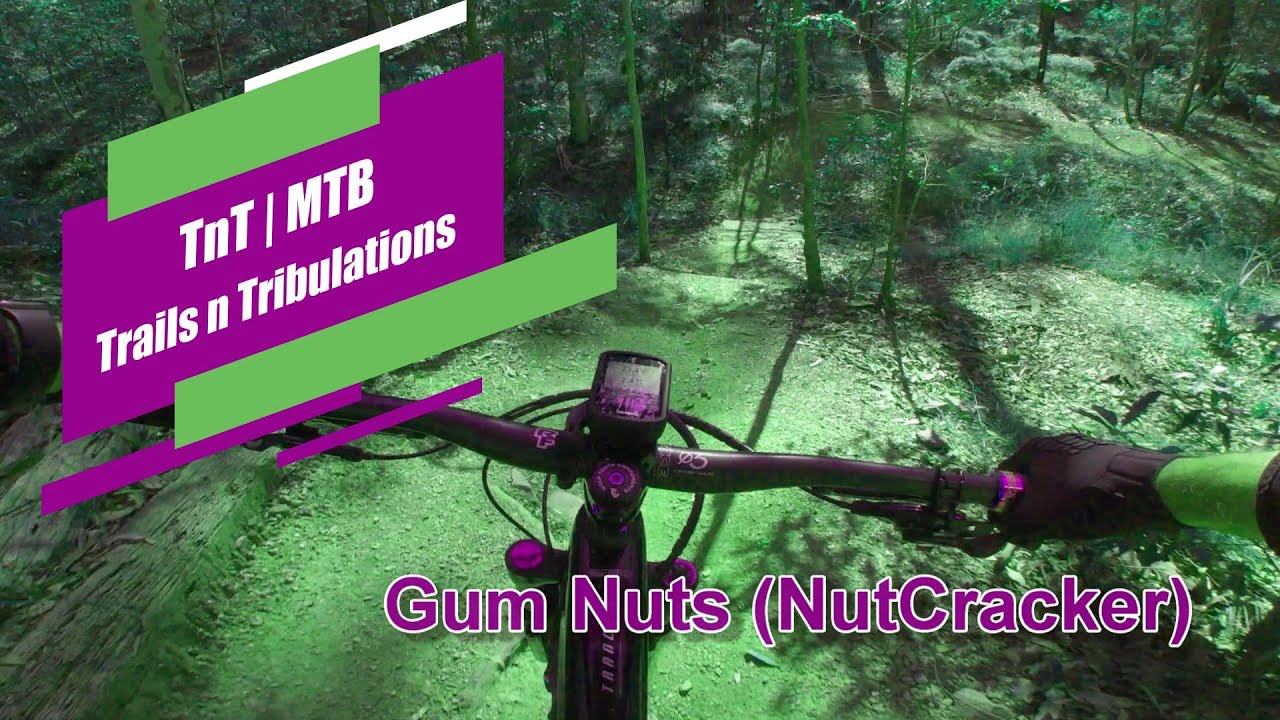 TNT-MTB | Bunyaville, Gum Nuts (NutCracker)