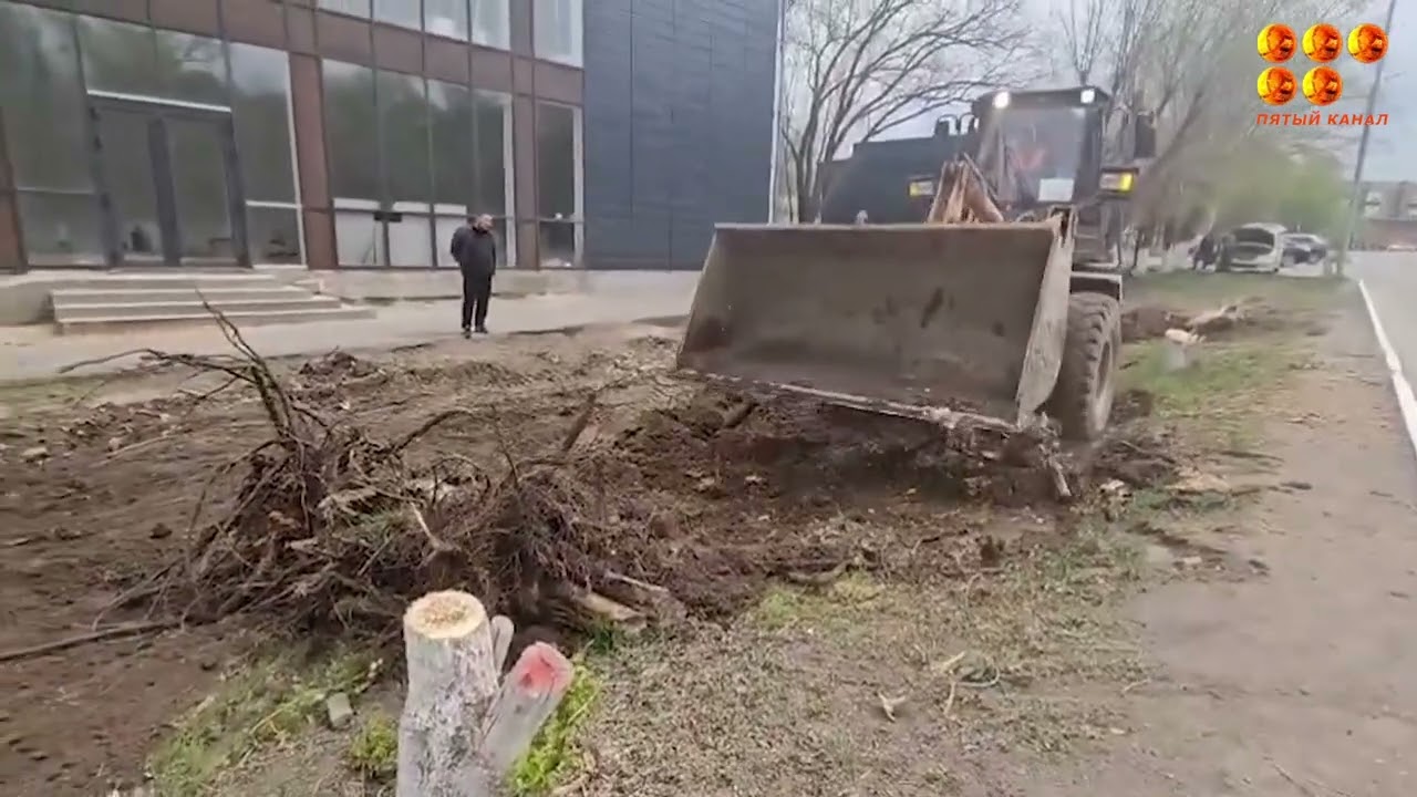 В Темиртау вырубили 