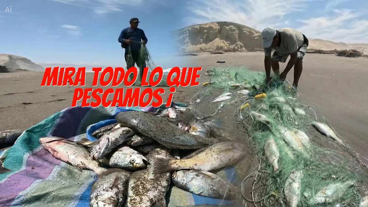 “Fui a ver a mi papá… y mira todo lo que pescamos 😱🐟