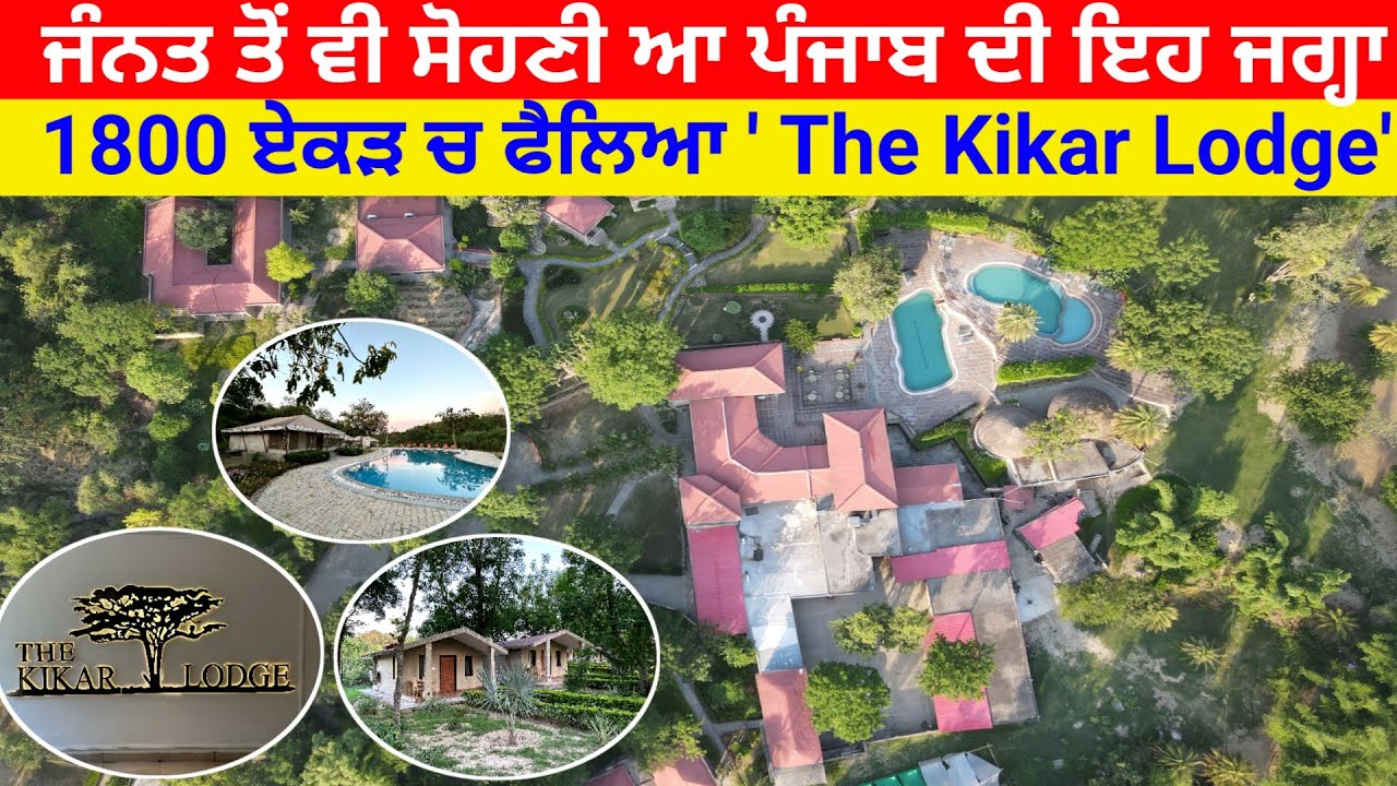 Best place to visit near chandigarh in mountains | Best resorts in punjab | The Kikar resort