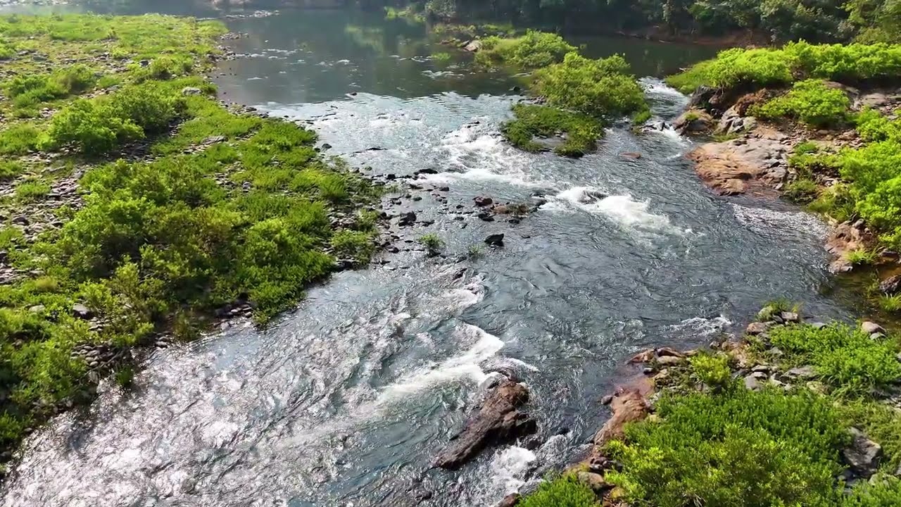 Aghanashini mp4