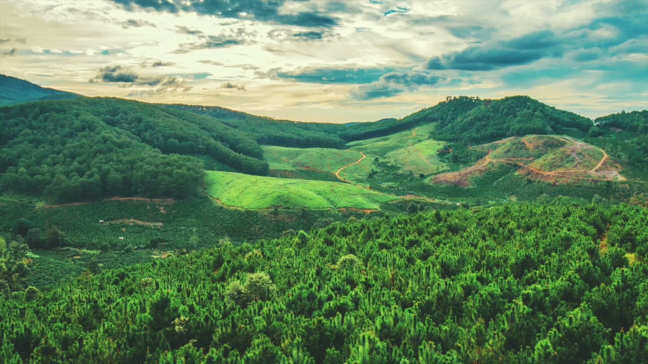 Binaural Forest Mountain Ridge and Distant Birds Ambient Sound