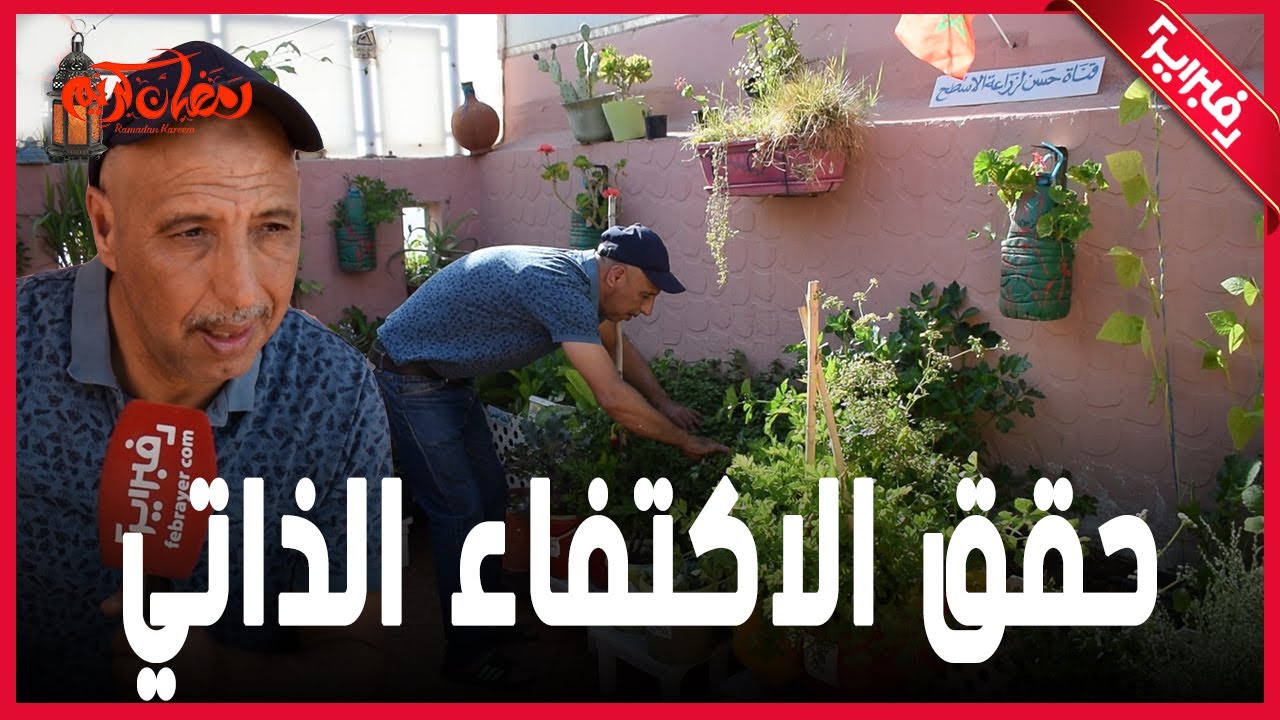 شاهد مغربيا حقق الاكتفاء الذاتي في سطح منزله.. غرست الطماطم والخضروات ونجحت واليكم ما تحتاجونه