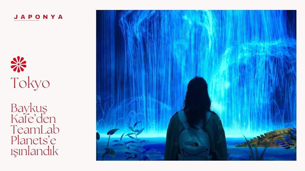 ЯПОНИЯ | Кафе «Сова», TeamLab Planets