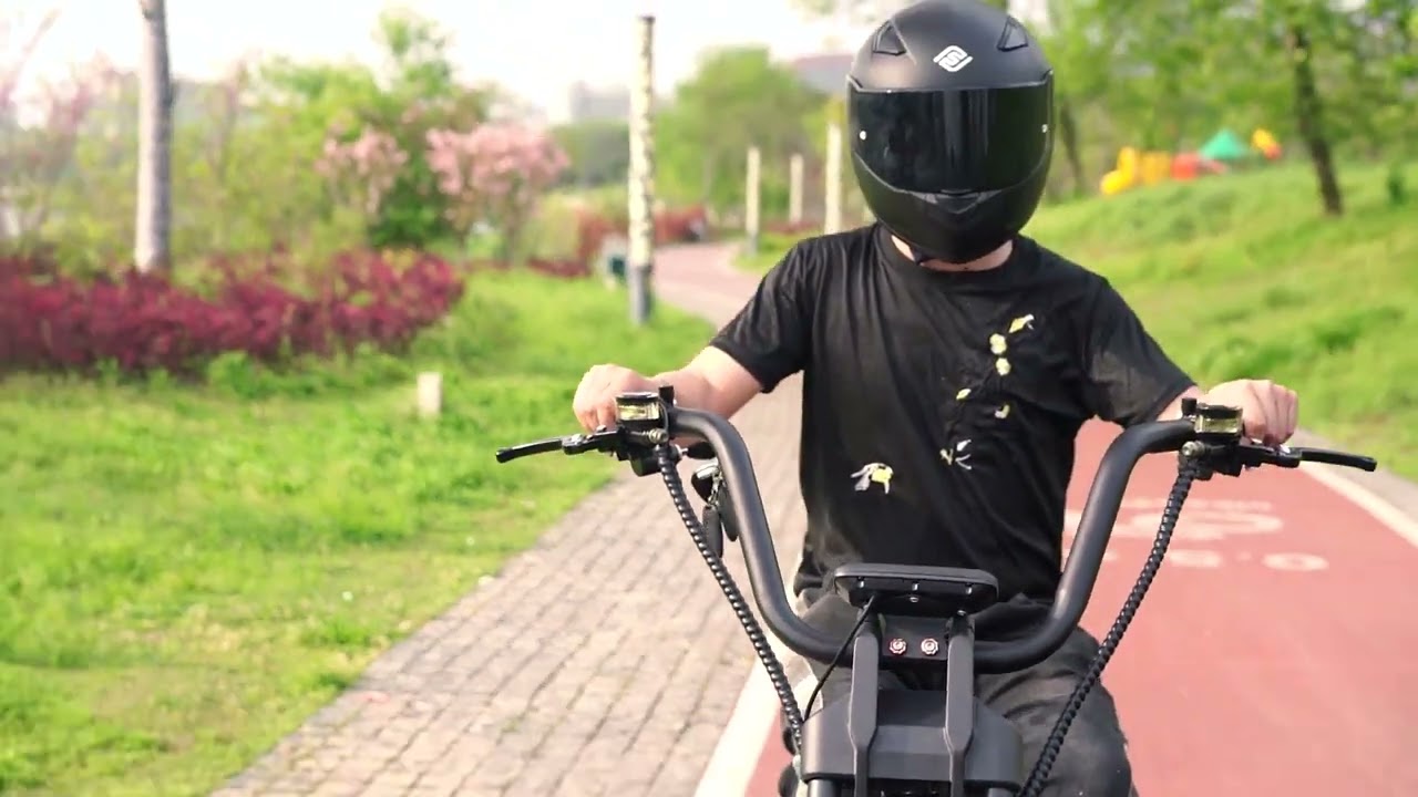 Smarda  Citycoco  Scooter  Sport 701 3000W 2000W 12inch Motor EEC/COC 75KM/H EU Holland warehouse