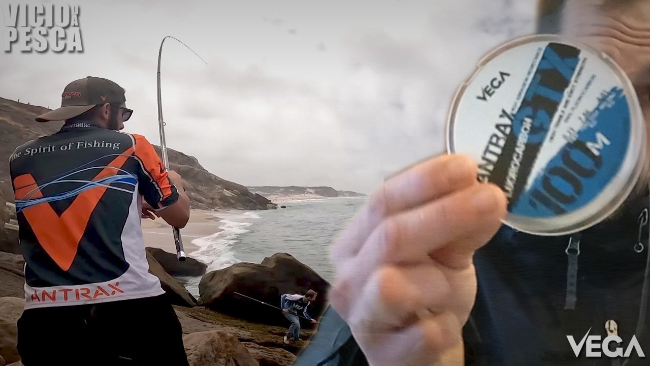 Um dos melhores fios de estralho para a pesca aos robalos e sargos -VEGA ANTRAX GTX REVIEW
