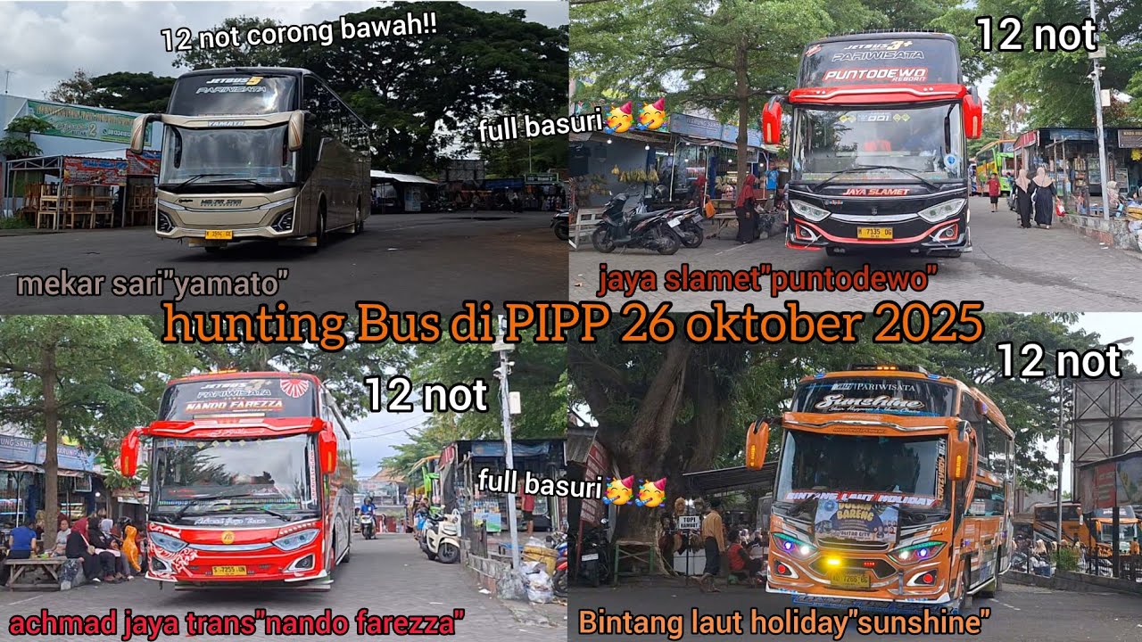 hunting Bus di PIPP 26 oktober 2025.full basuri!!