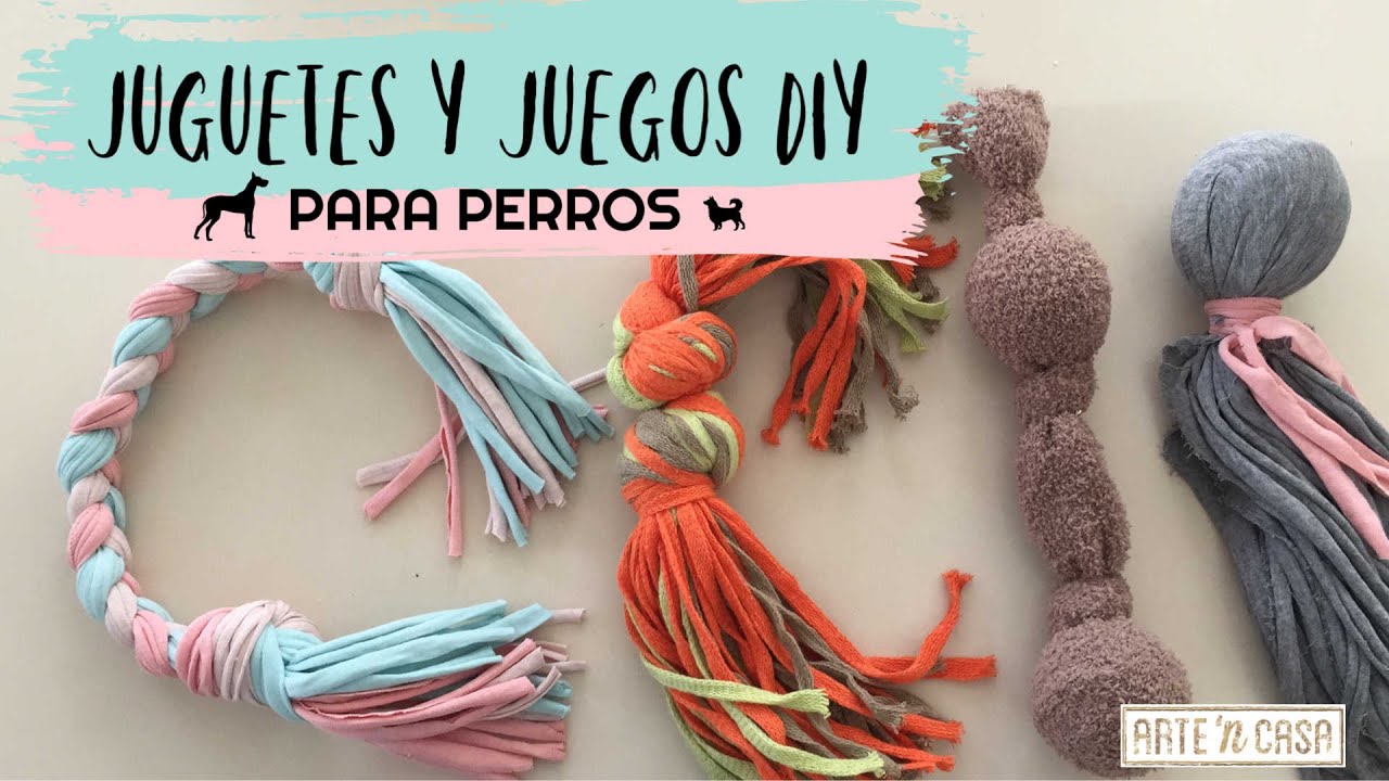 DIY juguetes y juegos para perros