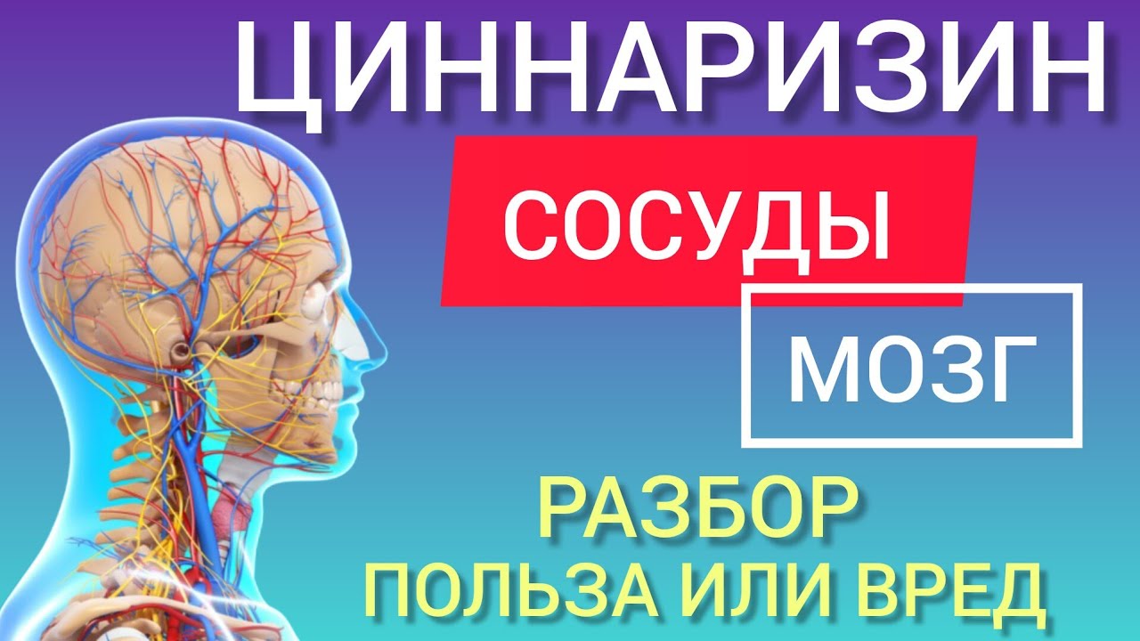 Cinarizine - Benefits l Польза или Вред l Когда и как принимать