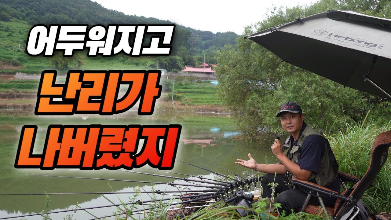 수몰나무 옆에서 난리가 나버렸지