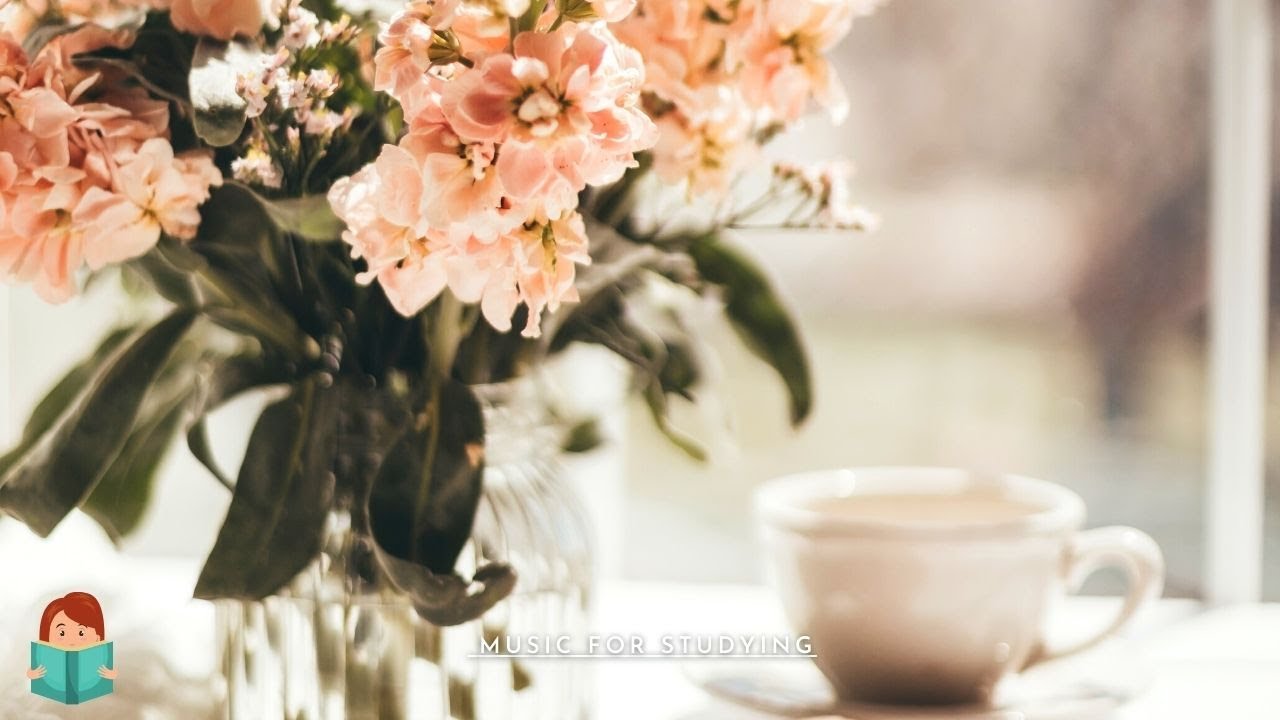 「無廣告版」鋼琴和大提琴交織美麗樂章~ 好聽讀書音樂 BEAUTIFUL PIANO & CELLO STUDYING MUSIC