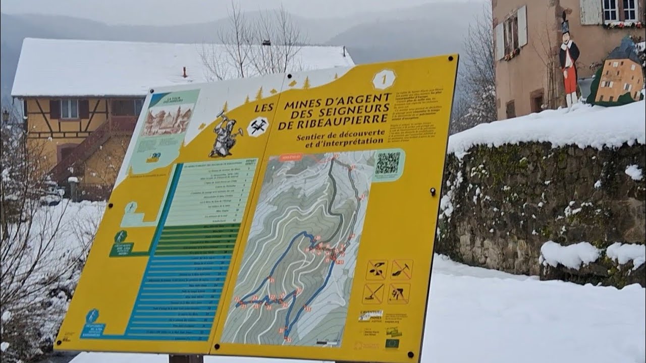 ❄️☁️ 2) Little walk in the snow 🇨🇵 // 2) Im Schnee spazieren (Elsaß) // Promenade dans la neige (68)