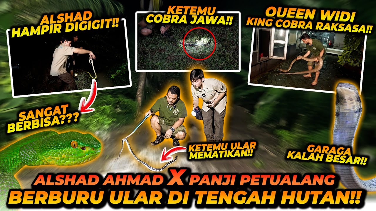MENCARI ULAR BERSAMA PANJI PETUALANG DI HUTAN ! MALAH MELIHAT SESUATU YANG MISTERIUS ?!