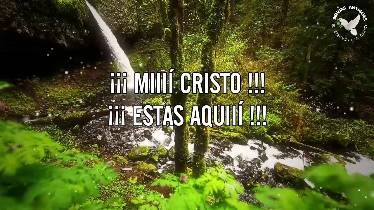 ESTAS AQUÍ MI CRISTO | Jossy choque |2019