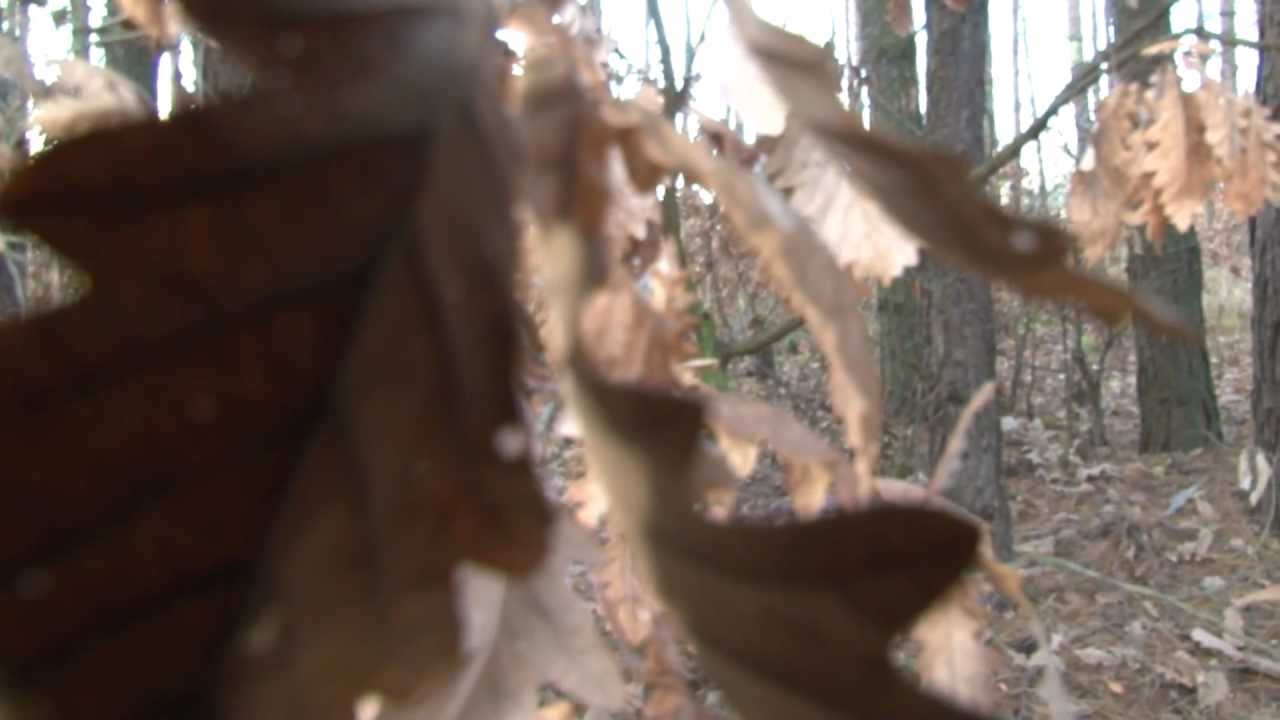 Sony HDR-AX2000E nagrania testowe / AX2000 test footage HD