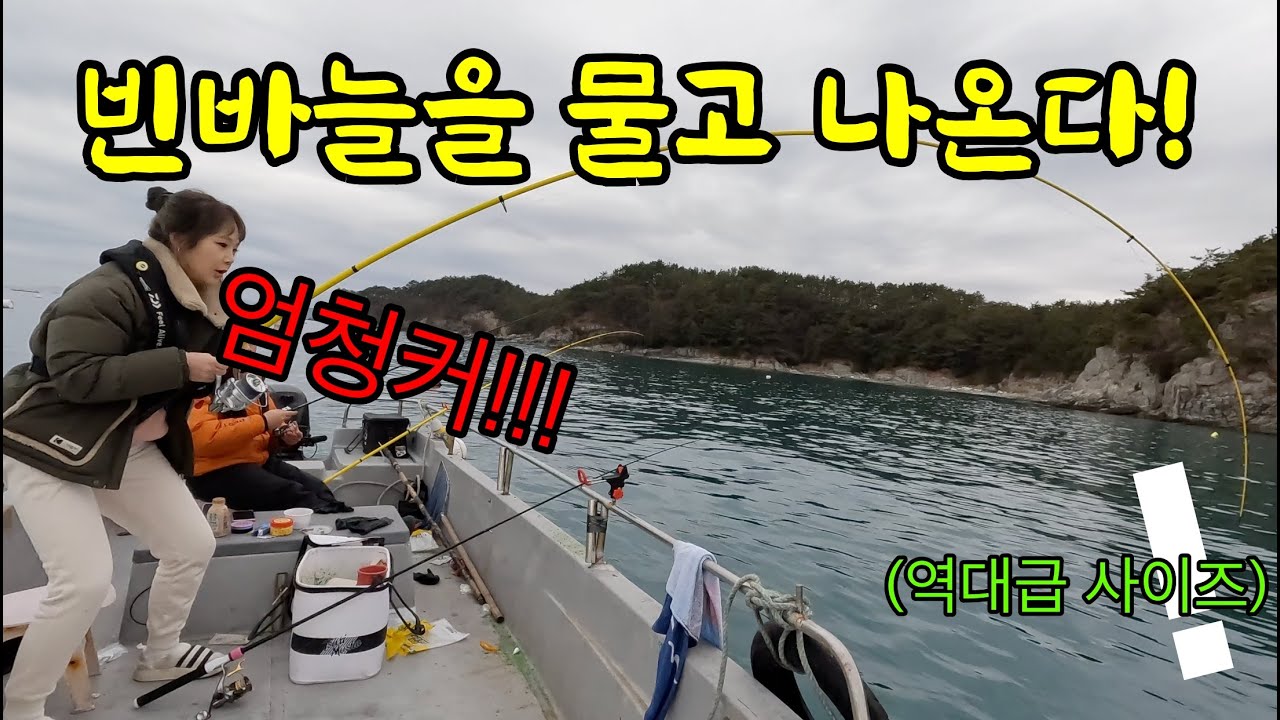 미끼도 안 끼운 빈바늘로 잡는, 멍청?하지만 정말 보기 힘든 최고의 술안주를 잡아서 바로 먹어보자!