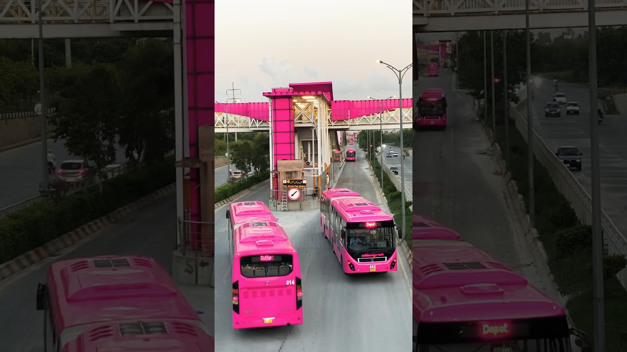 Pink Buses #short