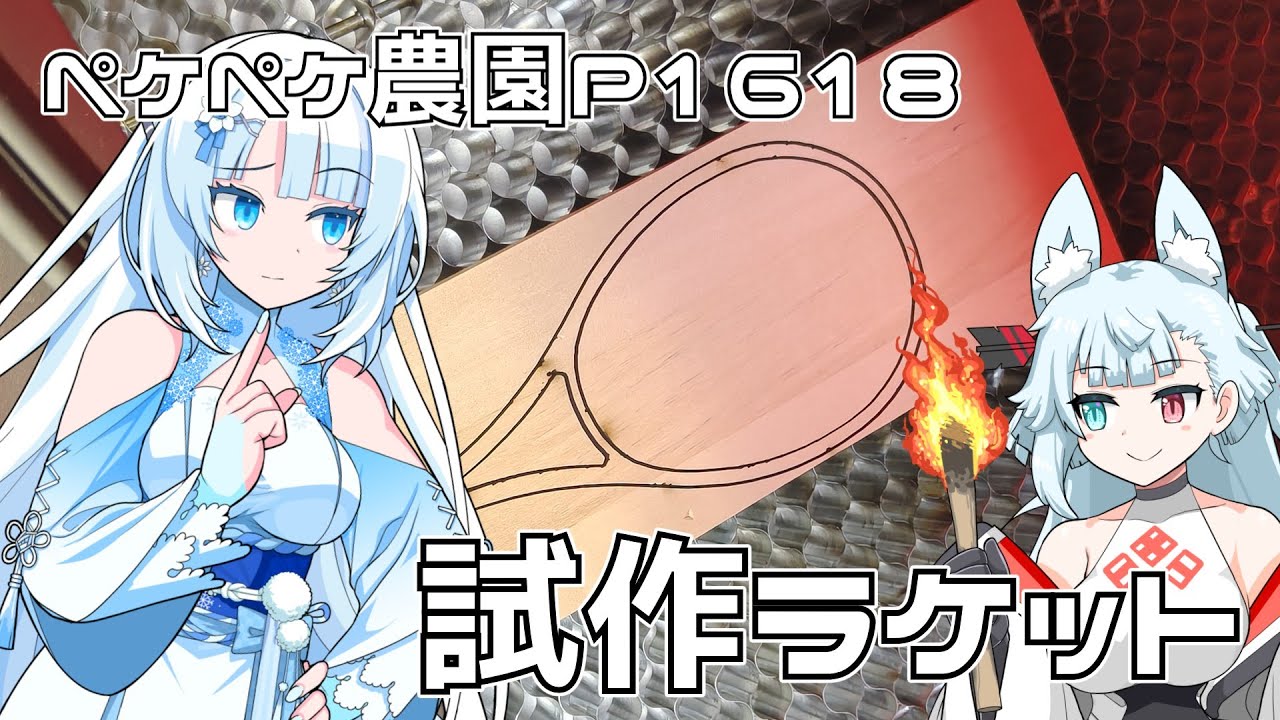2026年1月27日　農作業日誌P1618　木工細工でラケット作ってみようか？