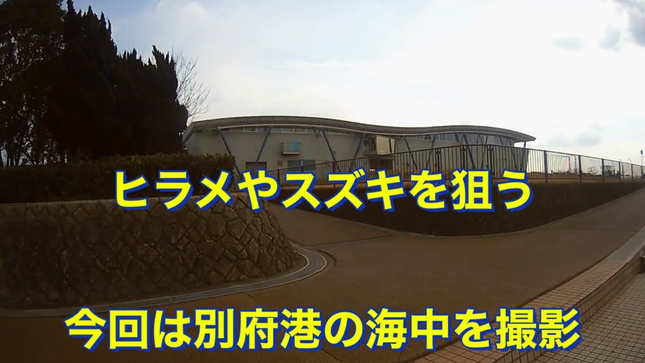加古川市　別府漁港の海中はこうなっている！　ファミリー向けの釣り場