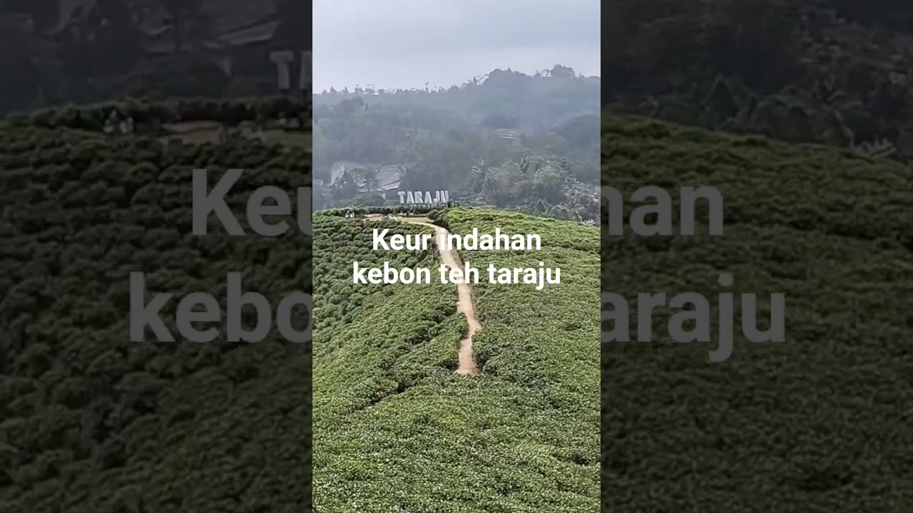 suasana yang sejuk ,tiis celi herang panon