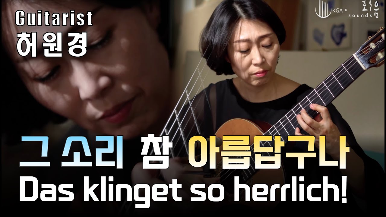 Introduction and Variations on a Theme by Mozart, Op. 9 - F.sor / 허원경 (Won Gyung Heo)