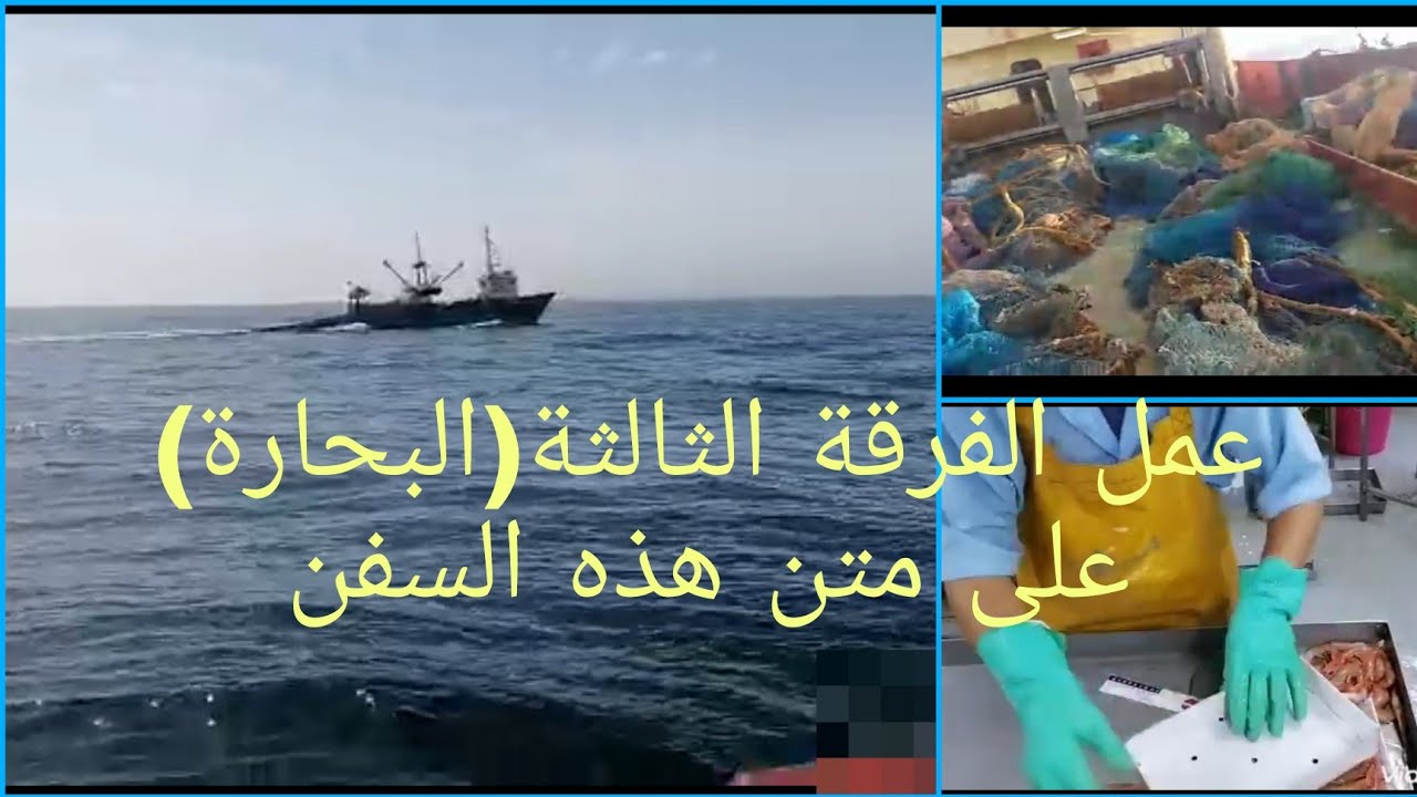 عمل الفرقة الثالثة (البحارة) على متن هذه السفن...