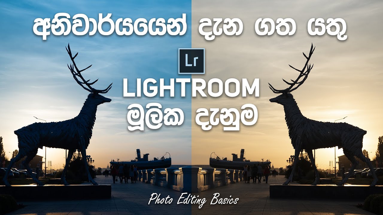 Lightroom Photo Editing Basics in Sinhala  - Lightroom තුල දැන ගත යුතු මුලික ෆොටෝ එඩිටින්