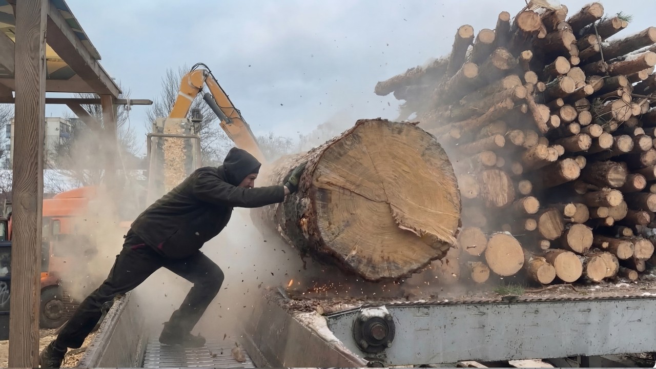 Man at MAX TENSION on the Wood Chips Line.