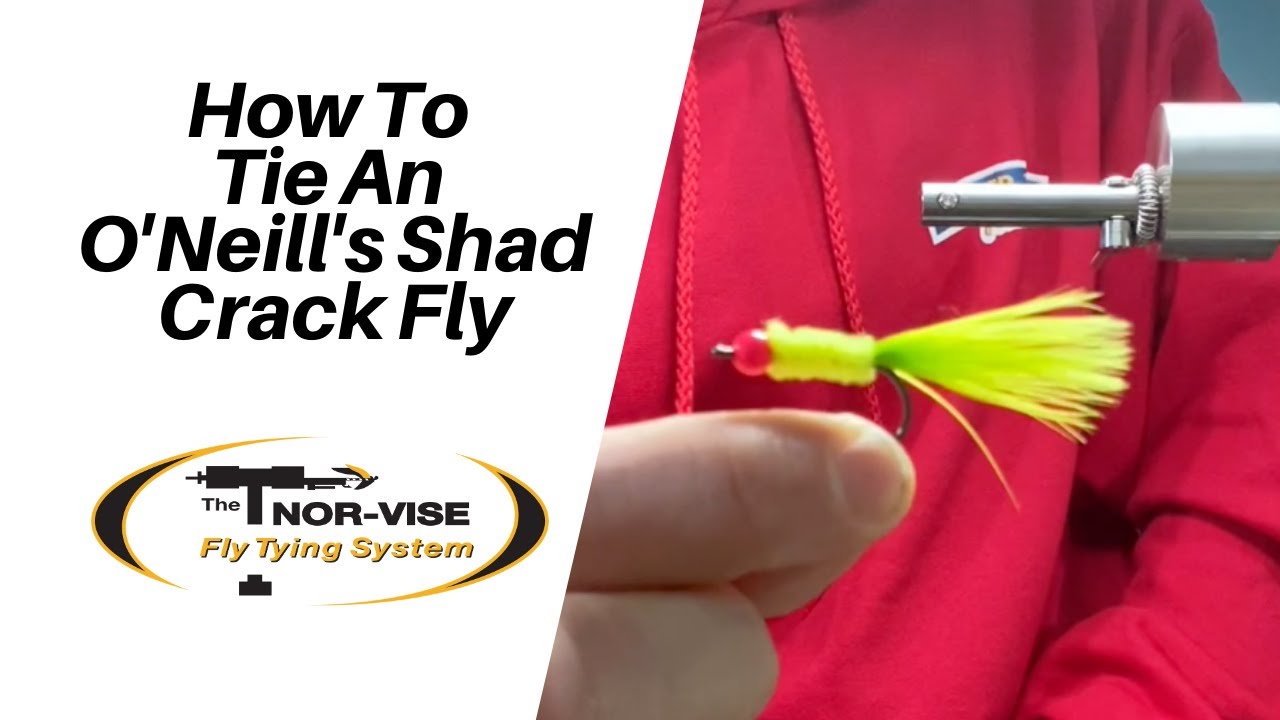 How To Tie An O'Neill's Shad Crack Fly | Nor-vise Fly Tying Instructional Video