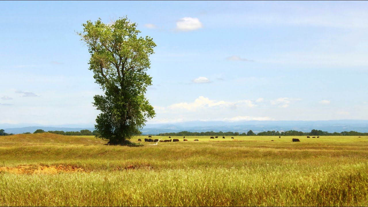 Sacramento County - Big Skies Hike