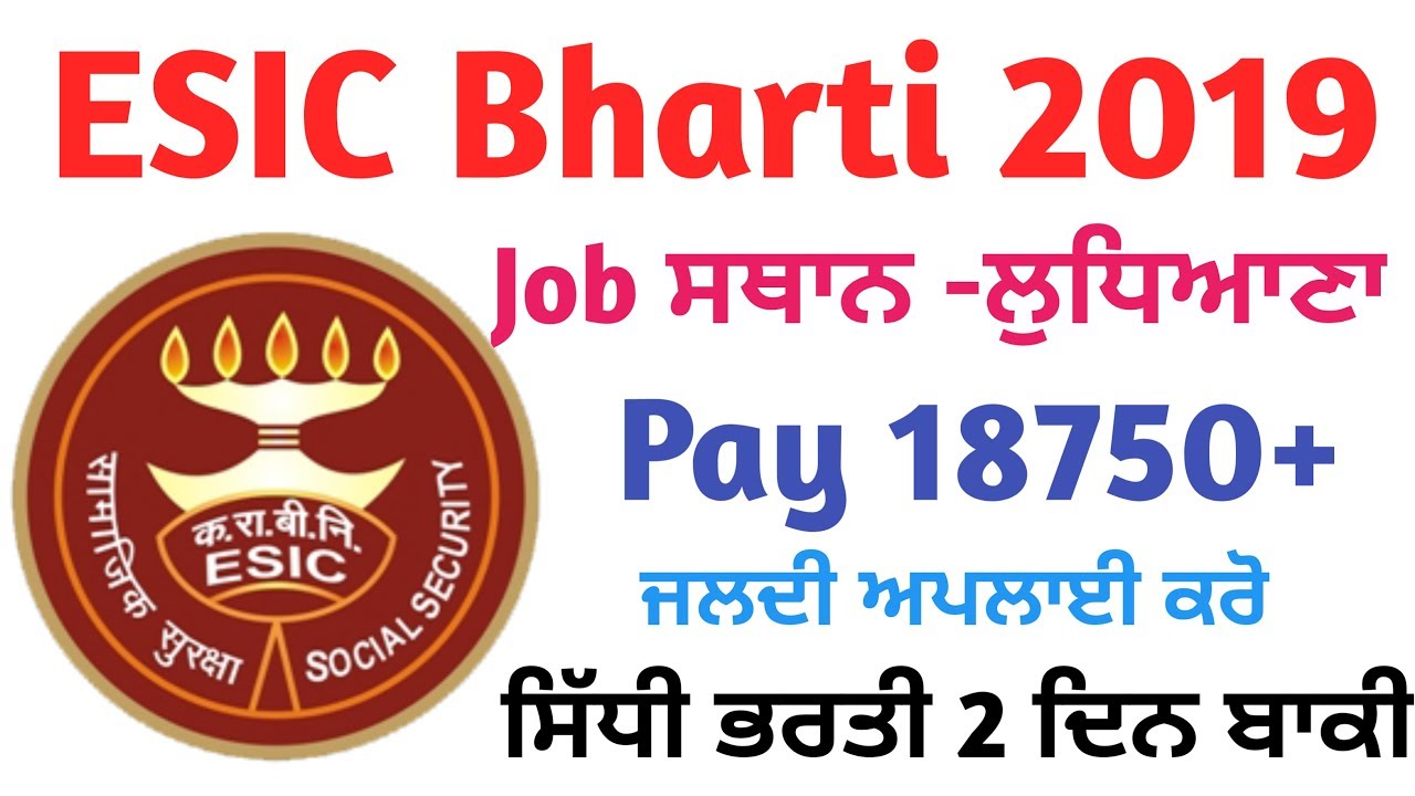 ESIC Recruitment 2019,Ludhiana Esic Job 2019,Punjab Job in June 2019,